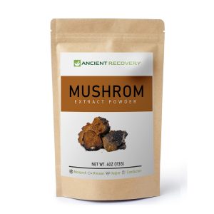 Ancient Recovery Mushroom Extract Powder 113g, Wild-Harvested